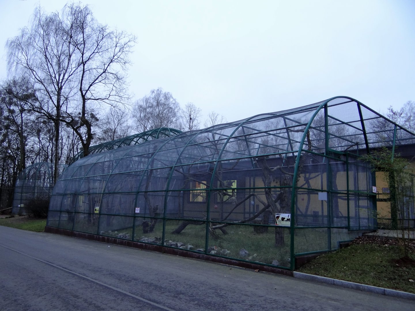 Lemur enclosures after renovation.