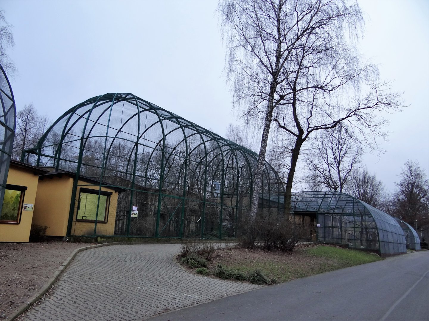 Lemur enclosures after renovation.