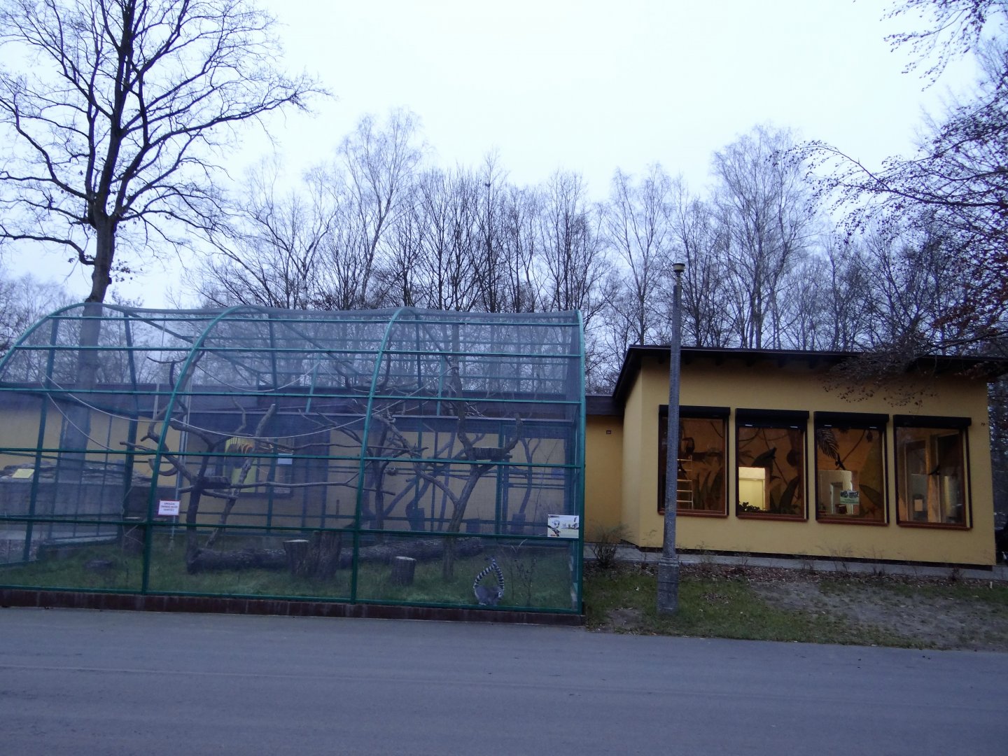 Lemur enclosures after renovation.
