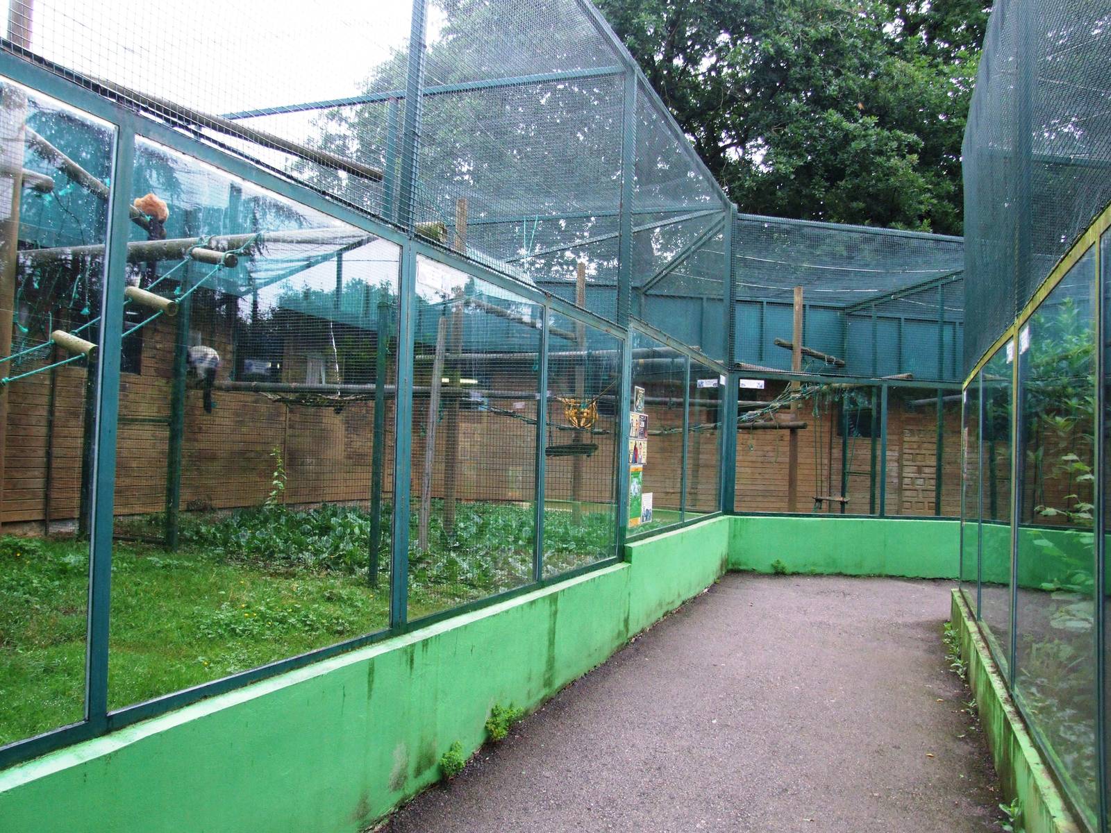 Lemur Enclosures at Santillana del Mar, 13/06/15