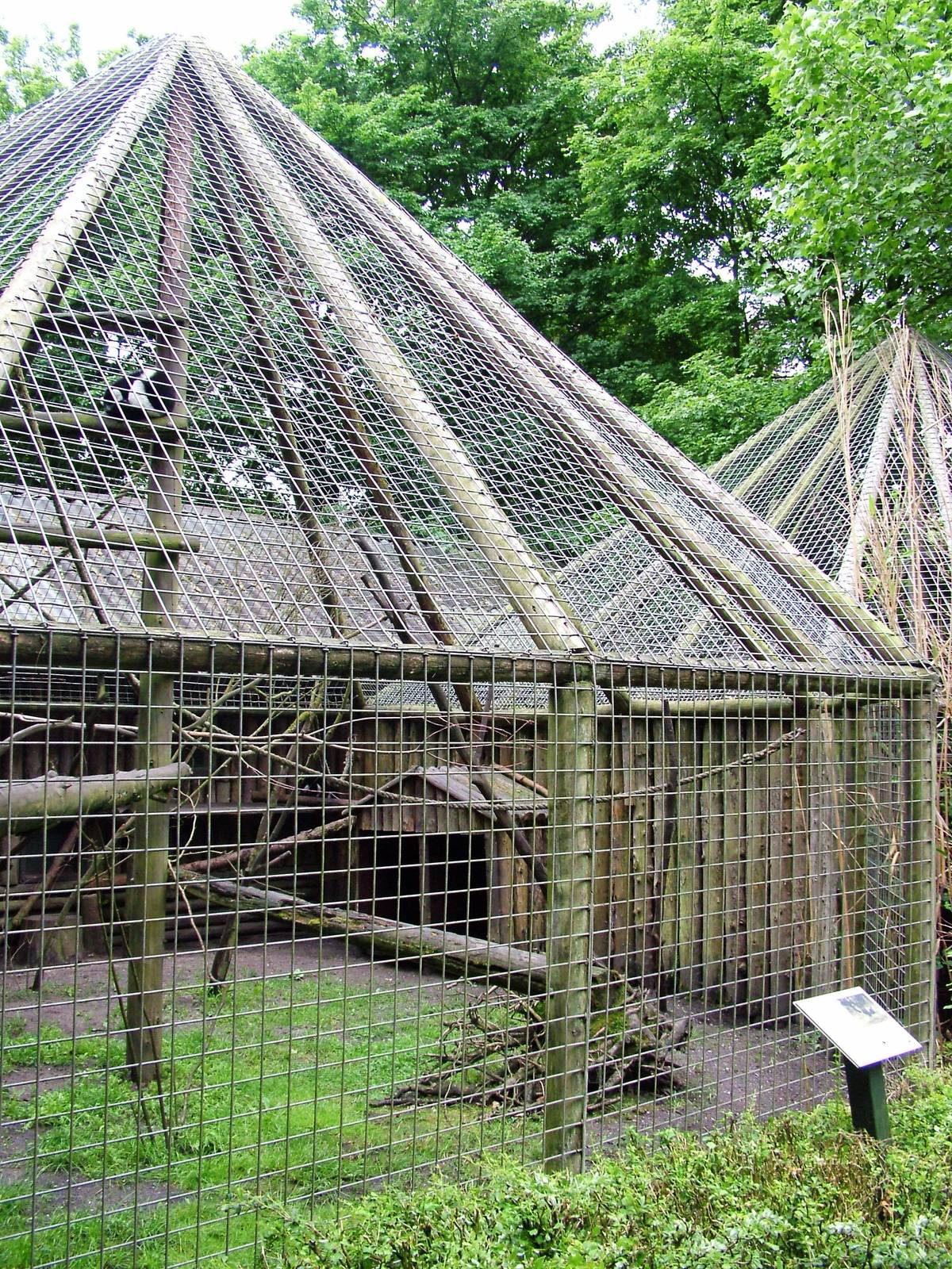 Lemur Enclosures at Wissel Zoo, Epe, 01/06/12