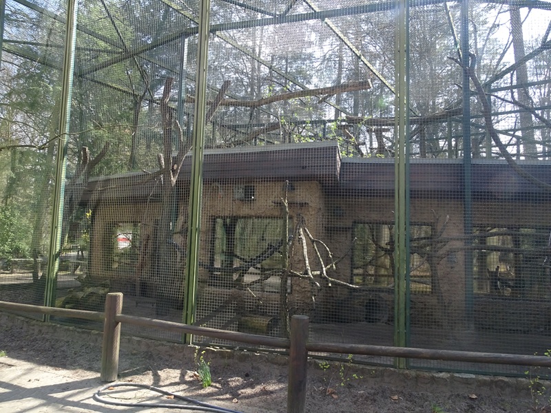 Lemur enclosures, front side