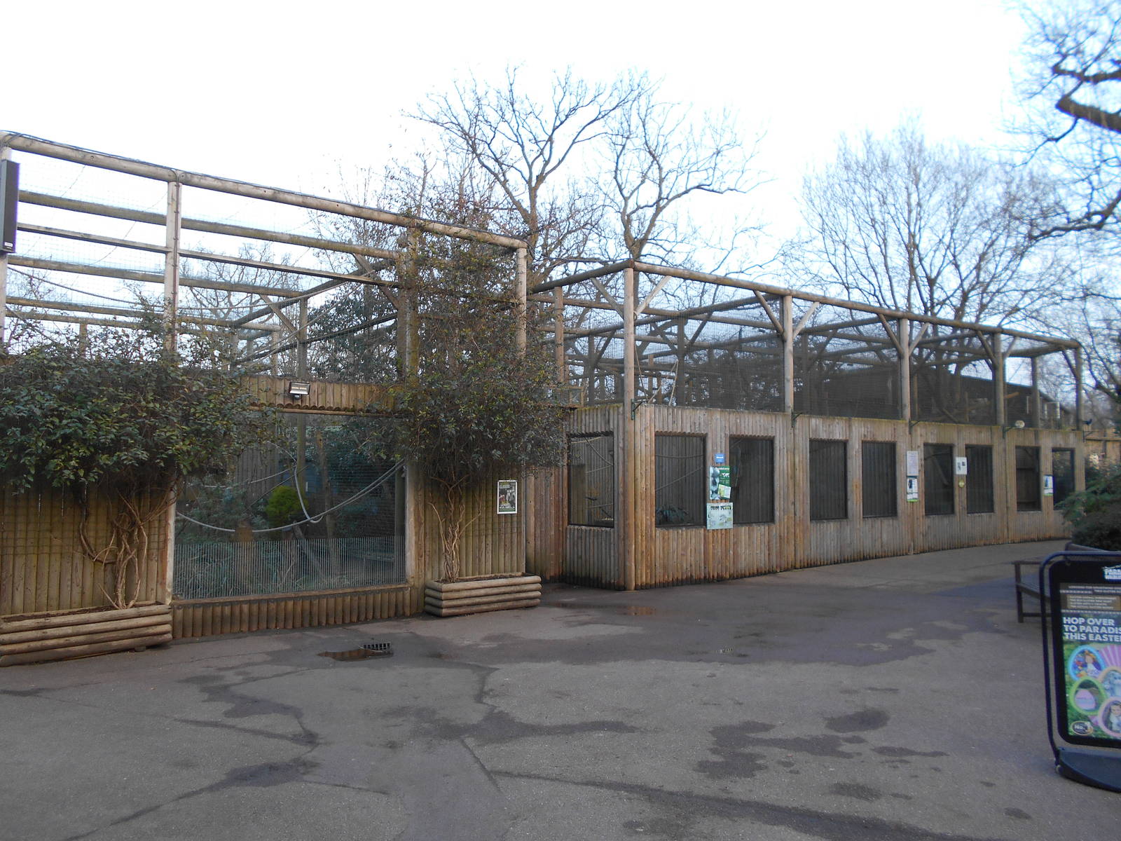 Lemur enclosures - March 11th 2016