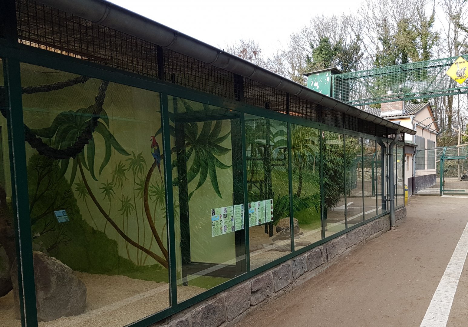 Lemur-enclosures