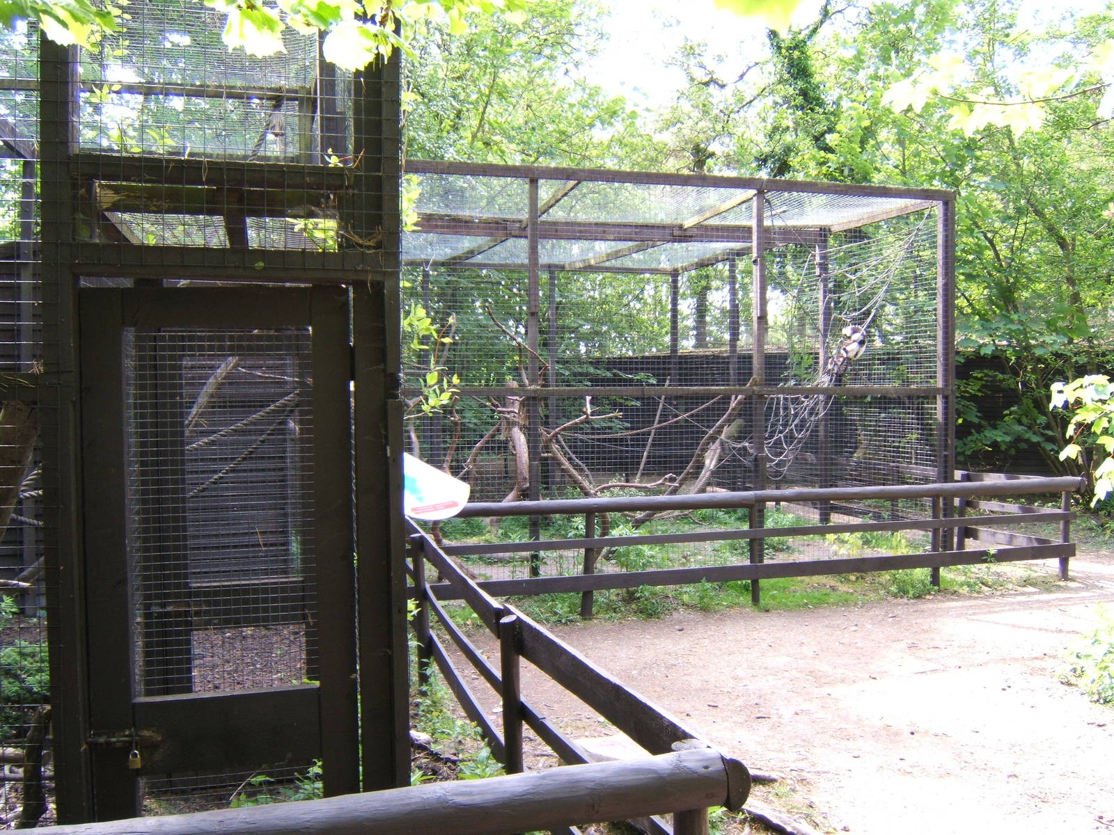 Lemur enclosures