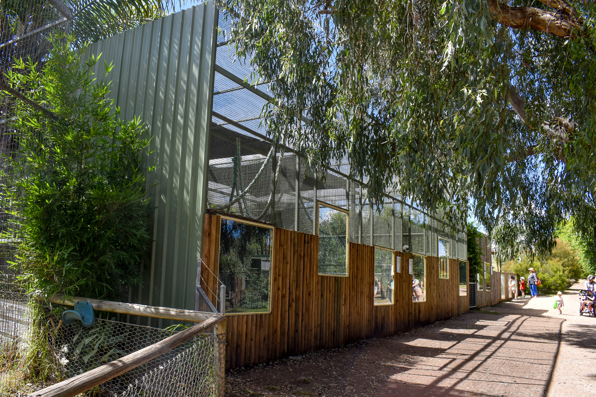 Lemur Enclosures