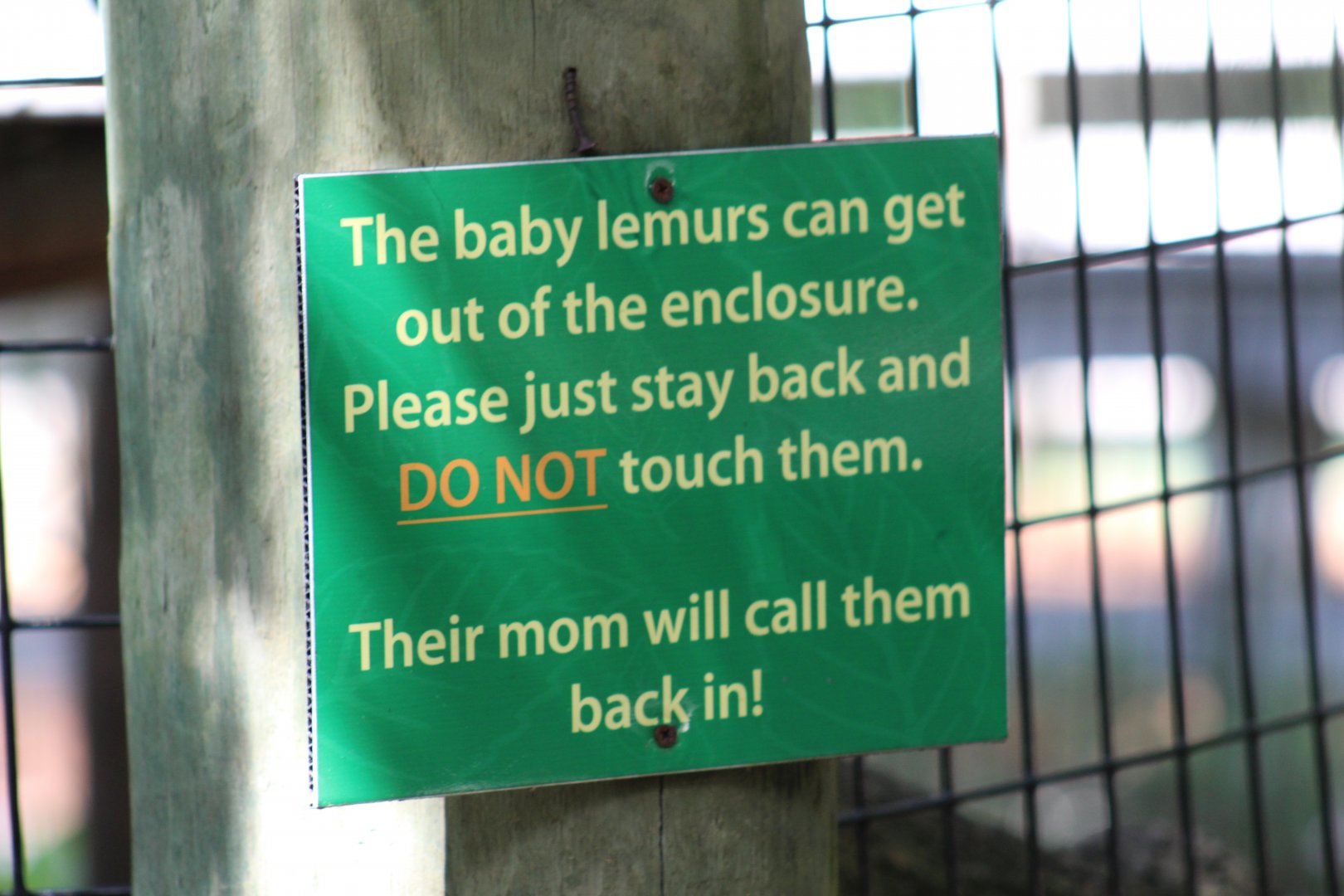 Lemur Escape Sign