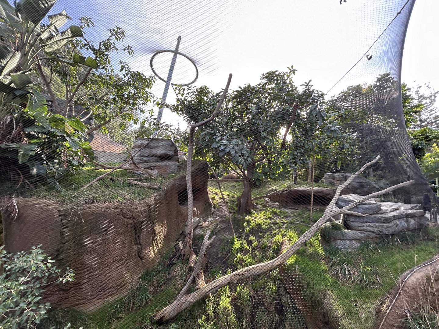 Lemur Exhibit #1 - Africa Rocks