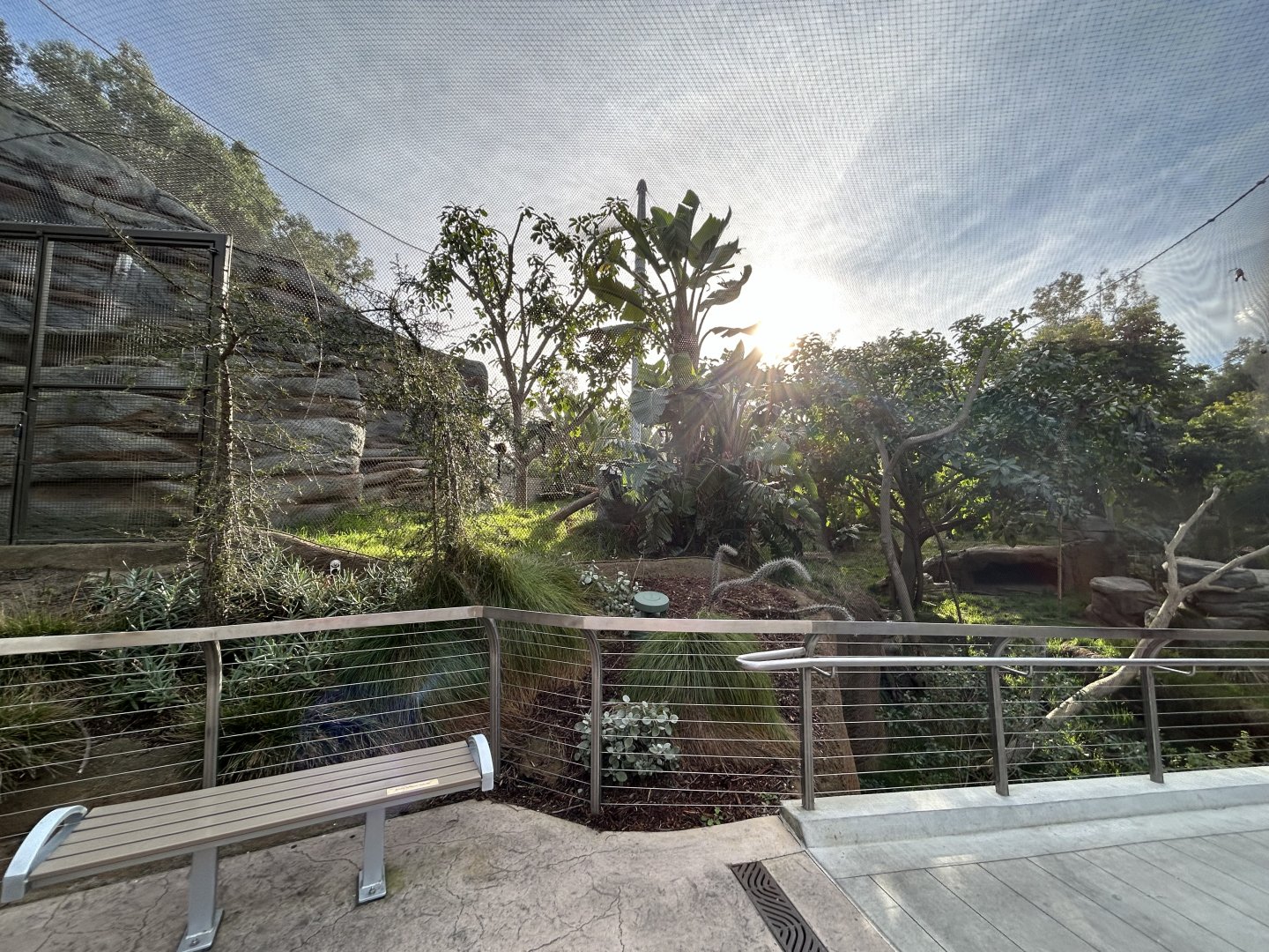 Lemur Exhibit #1 - Africa Rocks