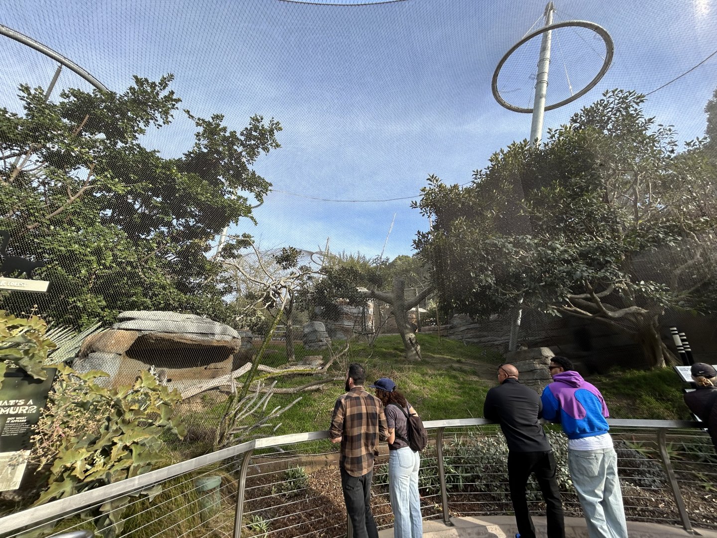 Lemur Exhibit #2 - Africa Rocks