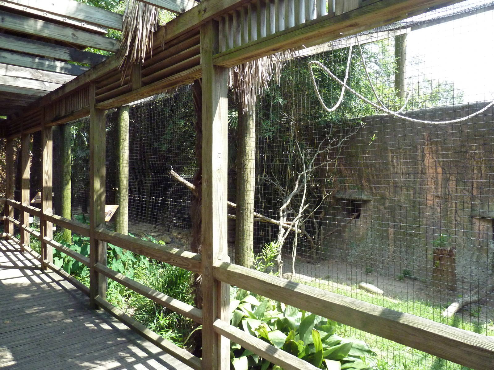 Lemur Exhibit (3 Species)