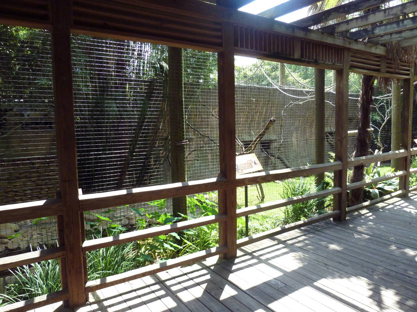 Lemur Exhibit (3 Species)