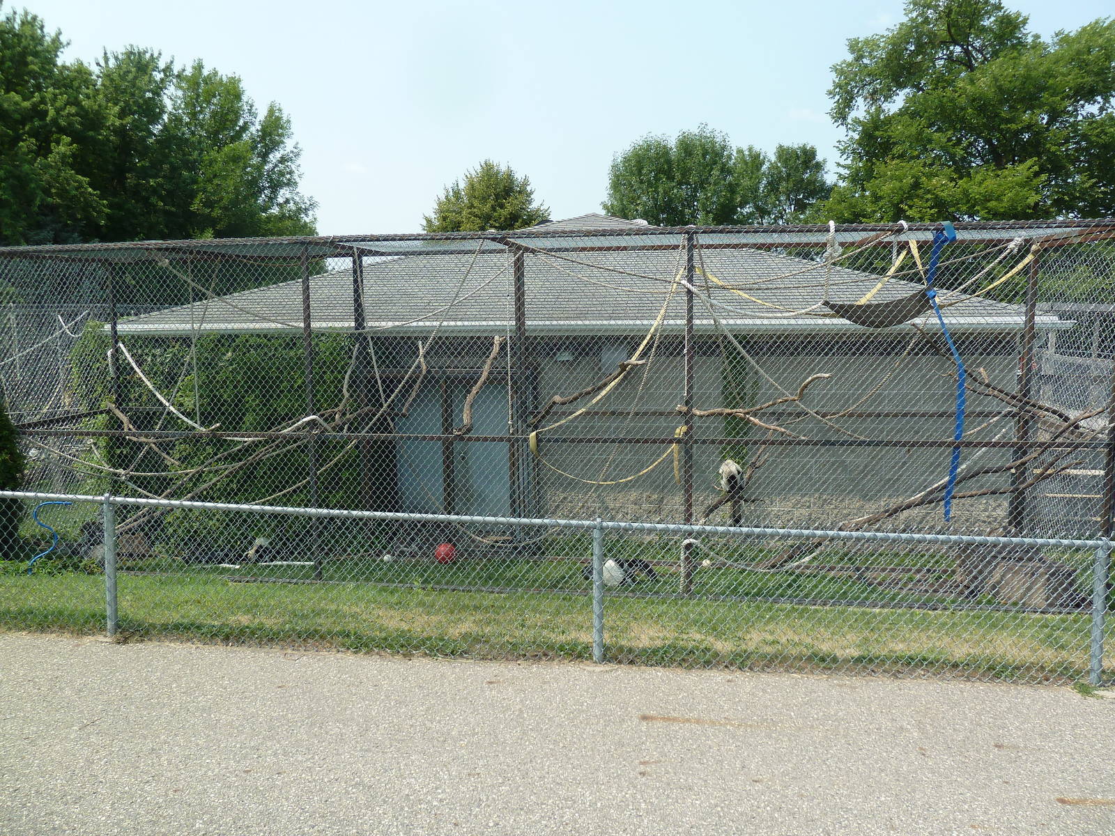 Lemur Exhibit (3 Species)