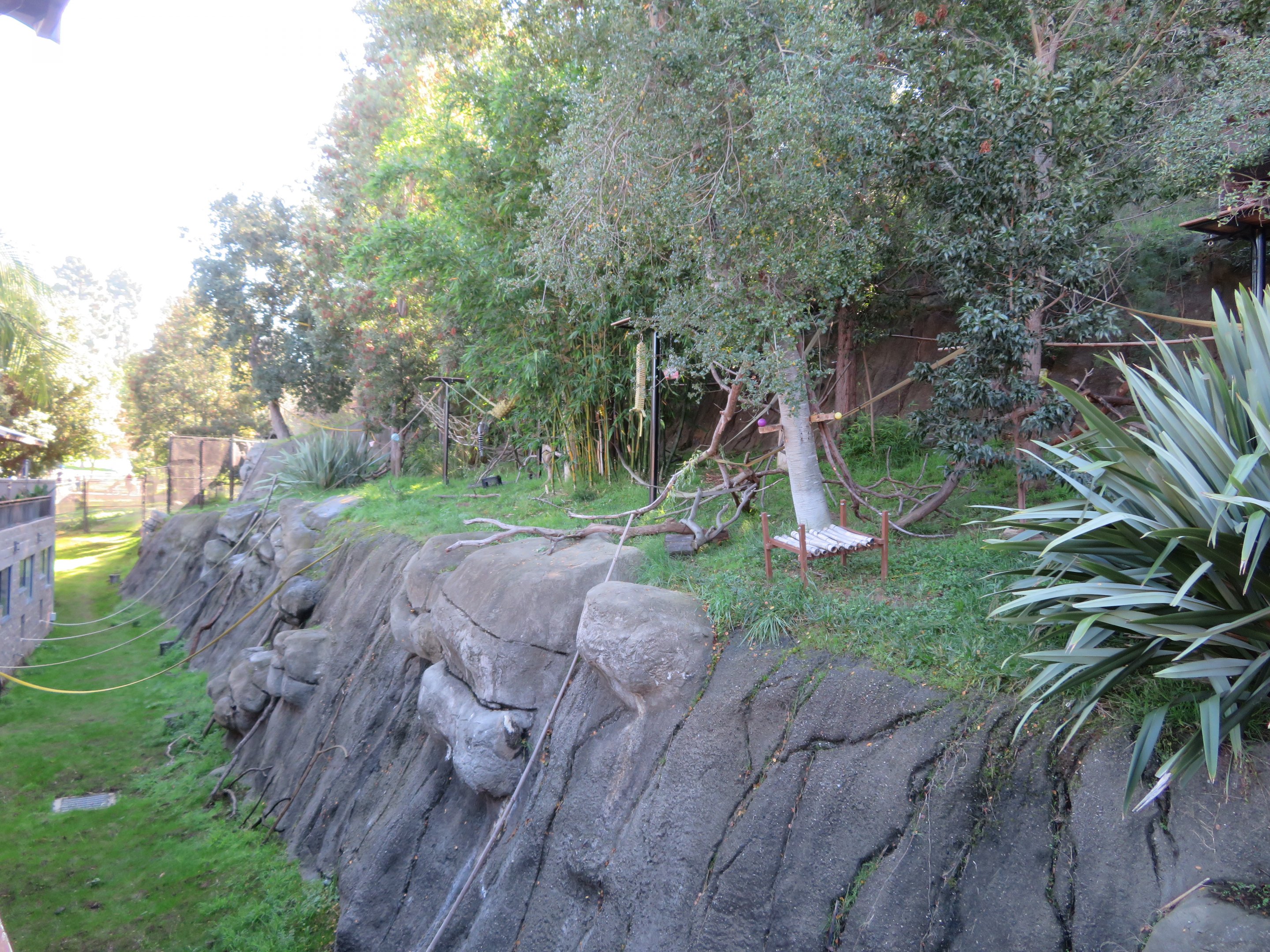 Lemur Exhibit (3 Species)