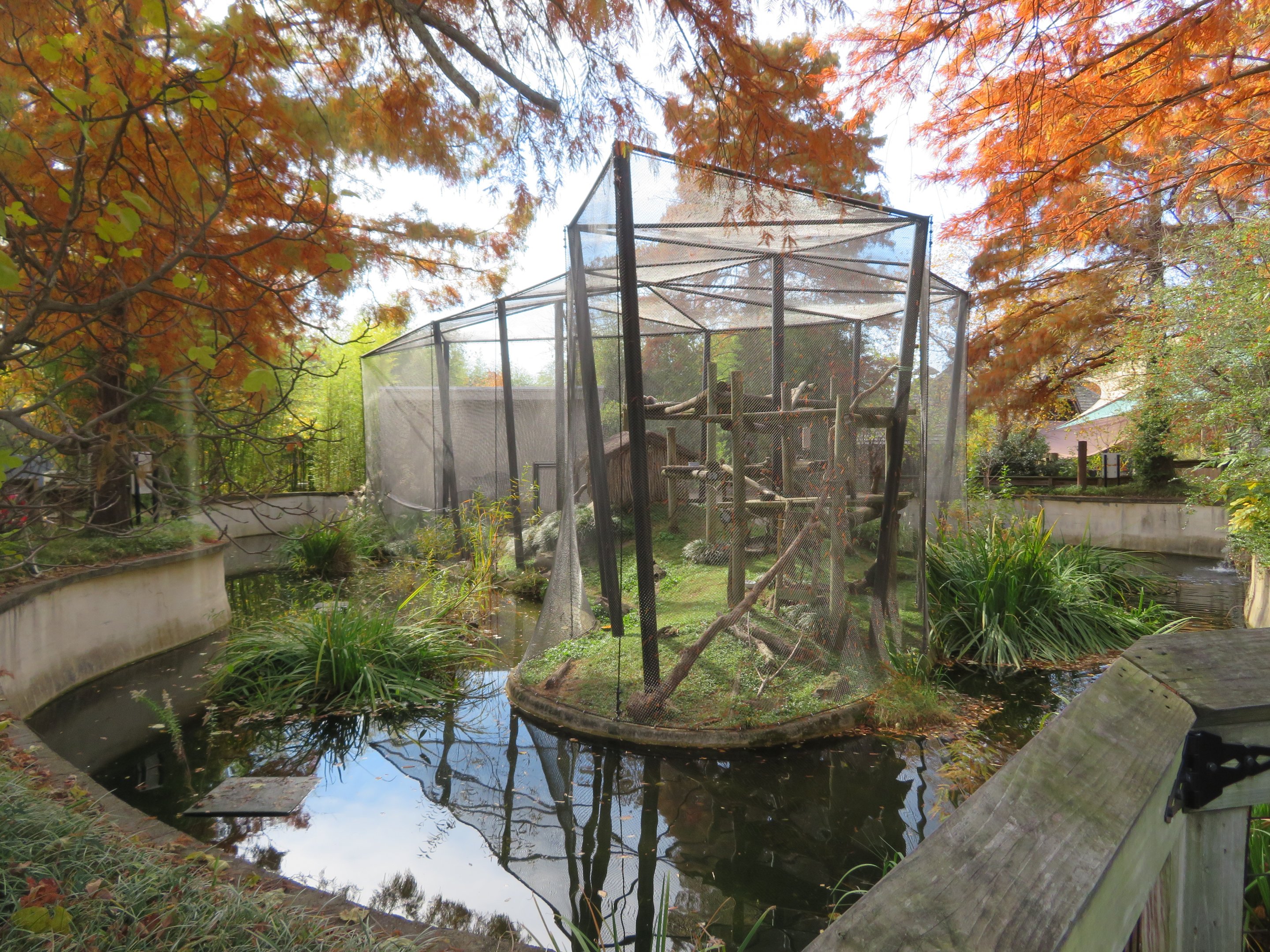 Lemur Exhibit (3 spp)