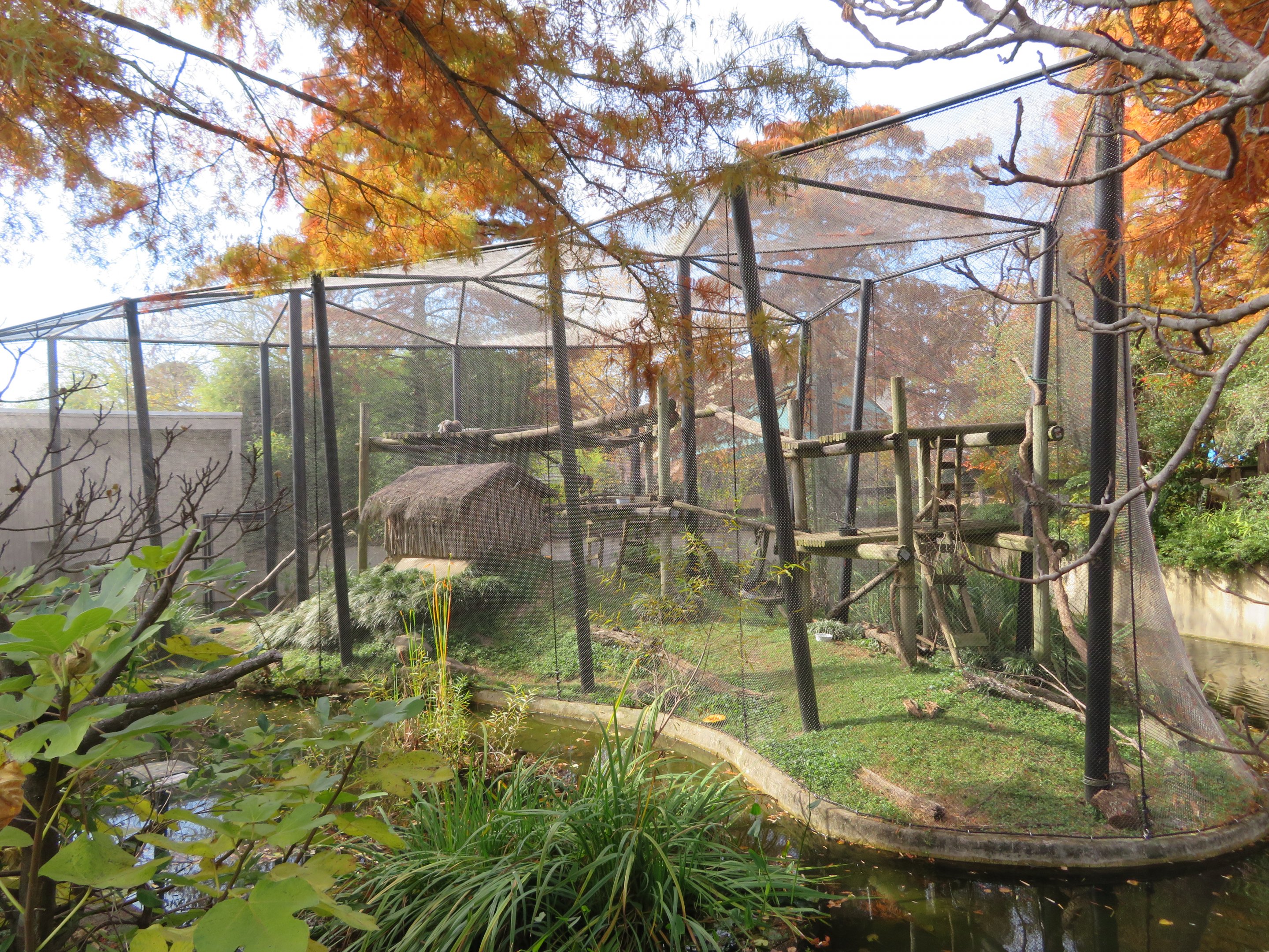 Lemur Exhibit (3 spp)