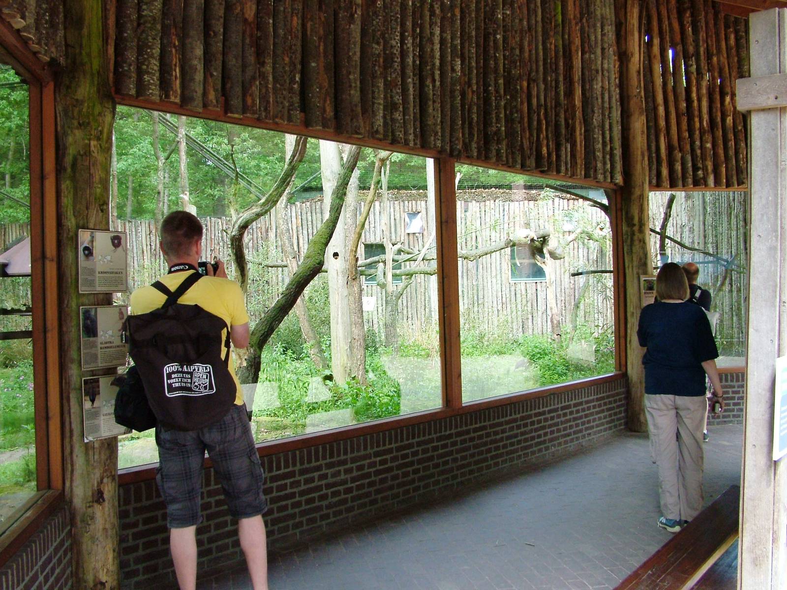 Lemur Exhibit at Apenheul, 30/05/12