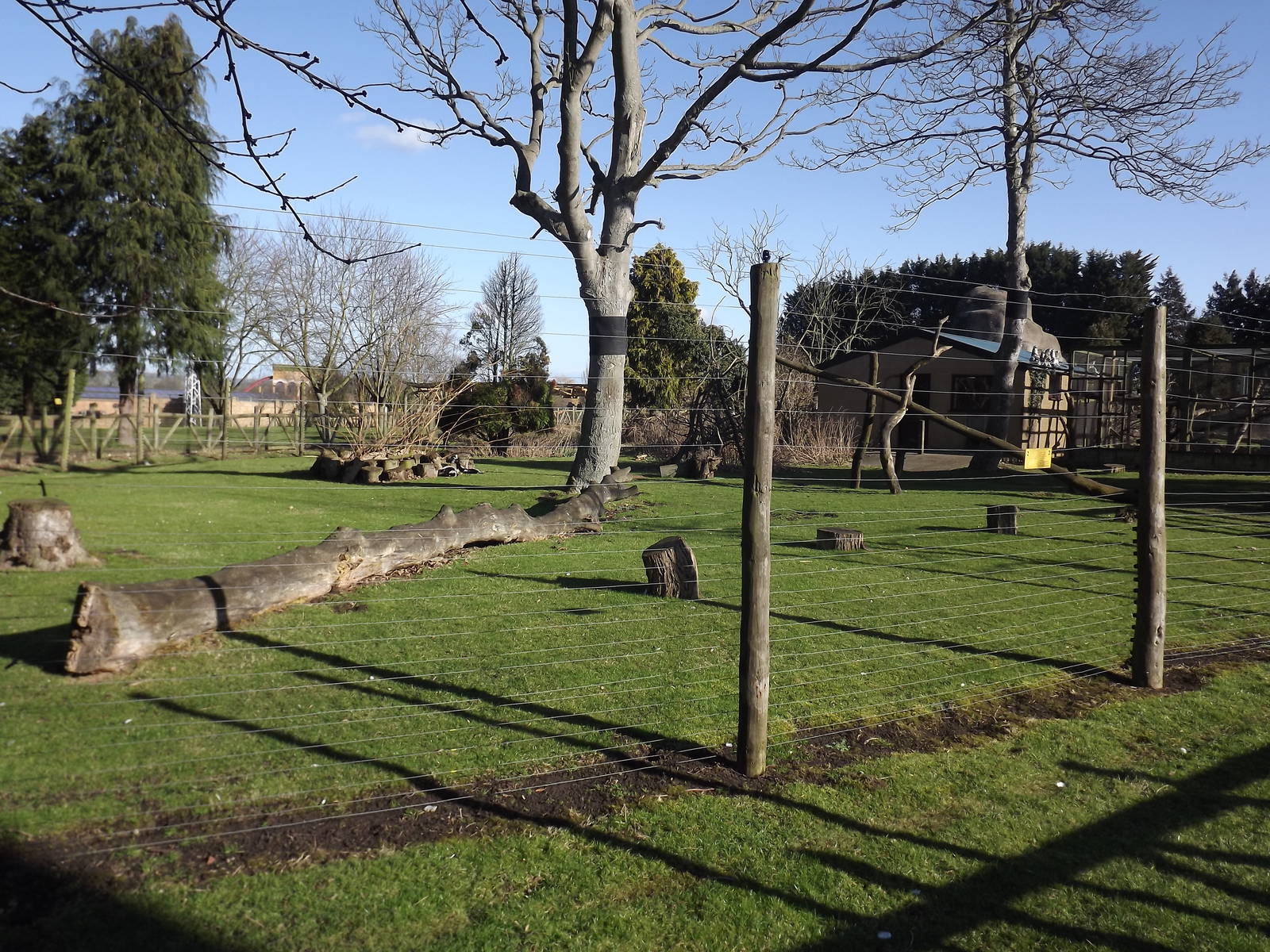 Lemur exhibit at Flamingoland 19/02/12