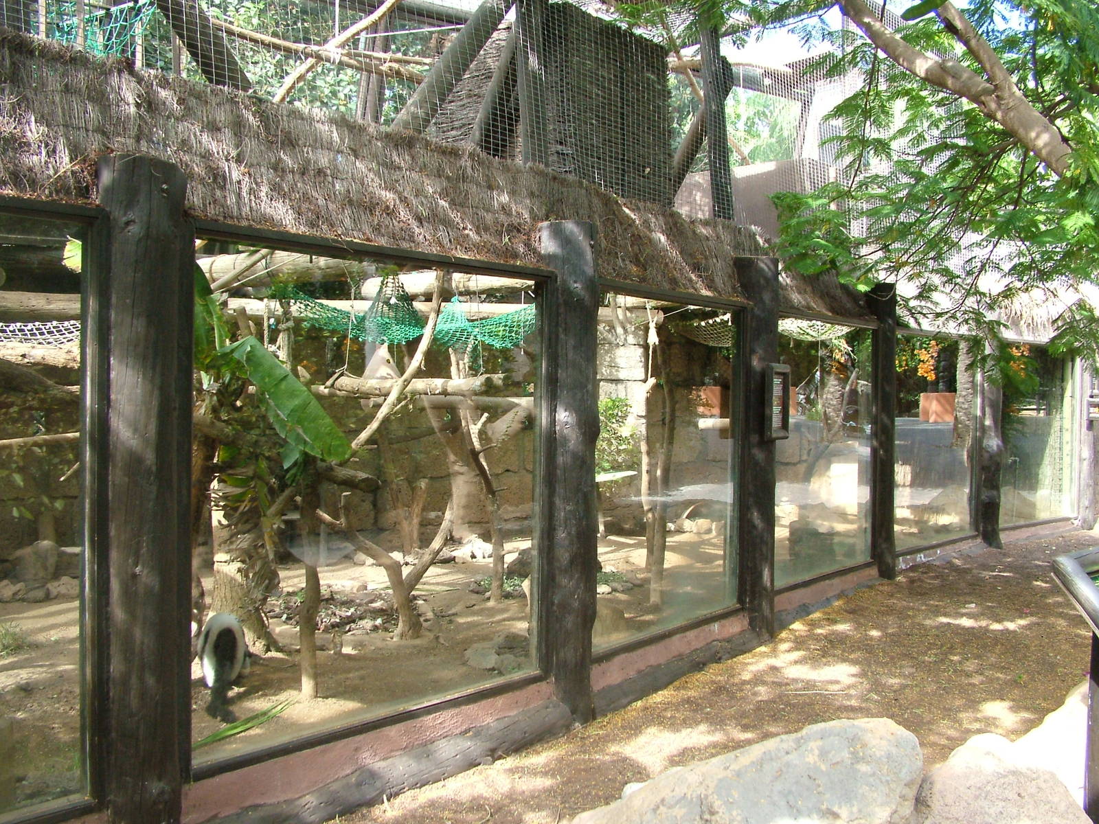 Lemur Exhibit at Jungle Park (Las Aguilas), 13/11/10