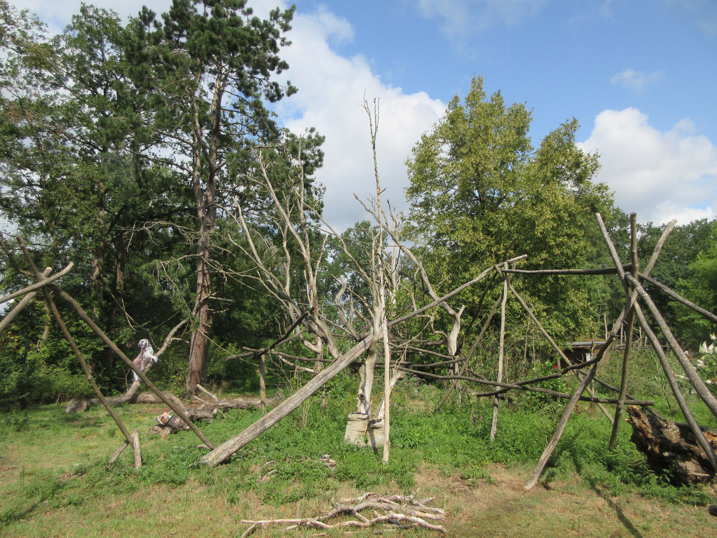 Lemur Exhibit - new in 2016