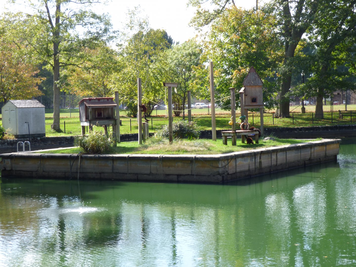 Lemur Exhibit, October 2017