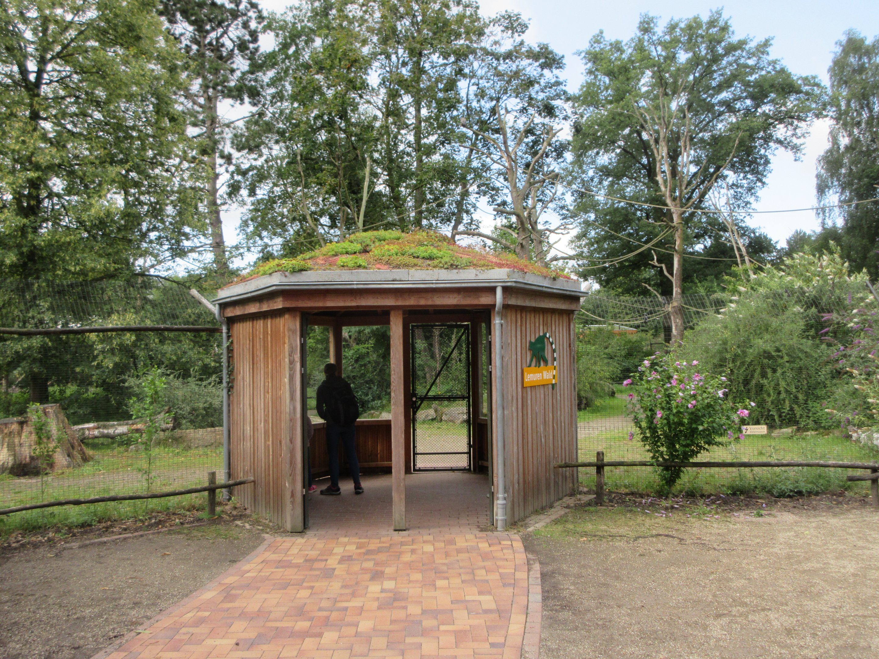 Lemur Exhibit - opened in 2016