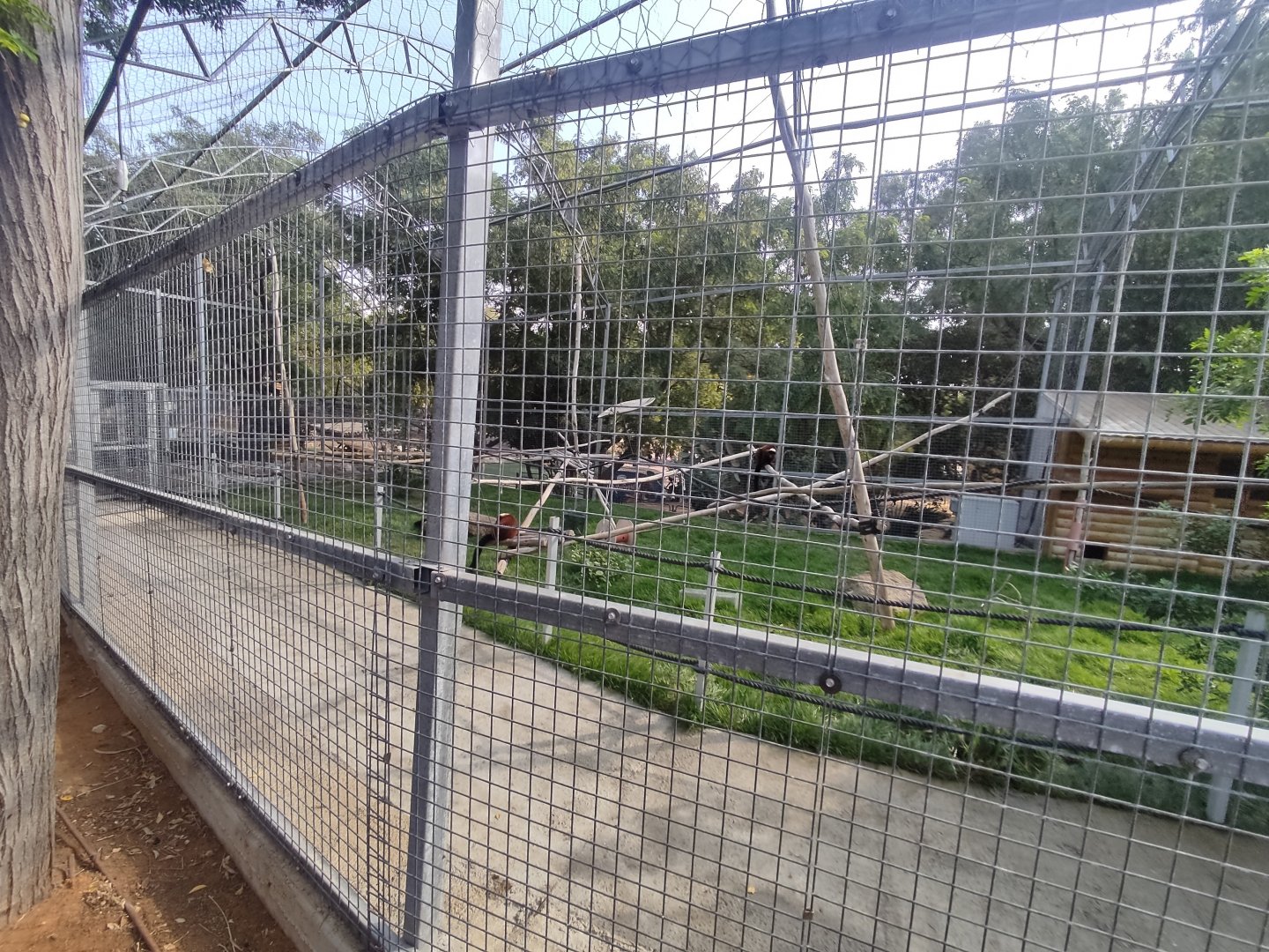 Lemur Exhibit Part 2
