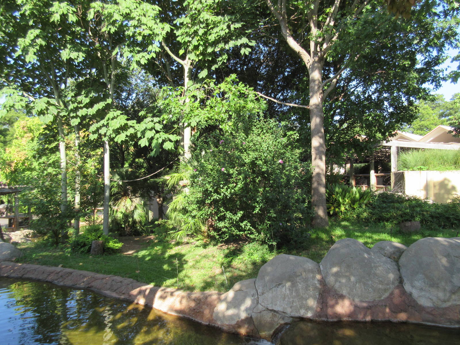 Lemur Exhibit - Ring-Tailed, Black + White Ruffed + Collared