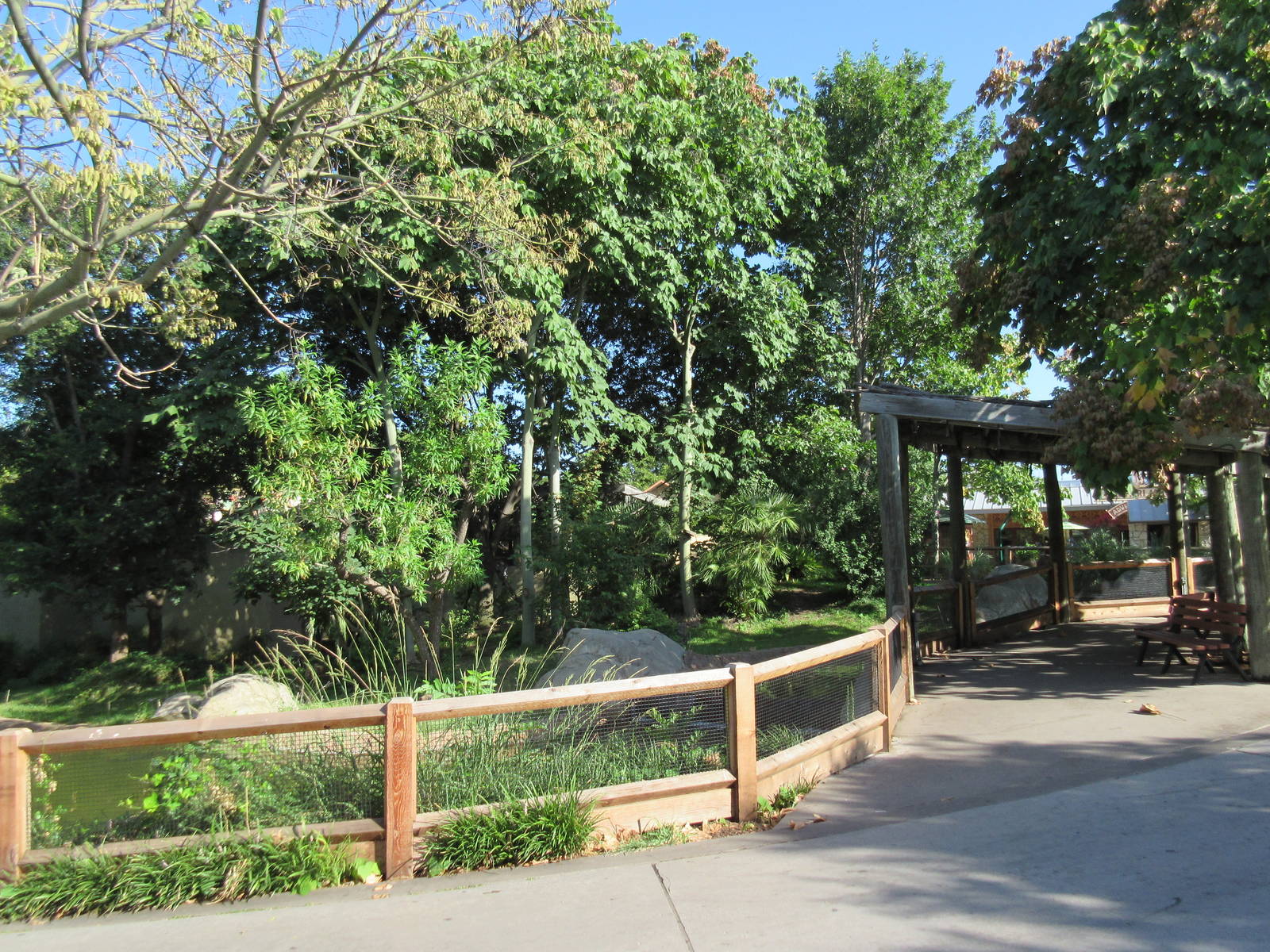 Lemur Exhibit - Ring-Tailed, Black + White Ruffed + Collared