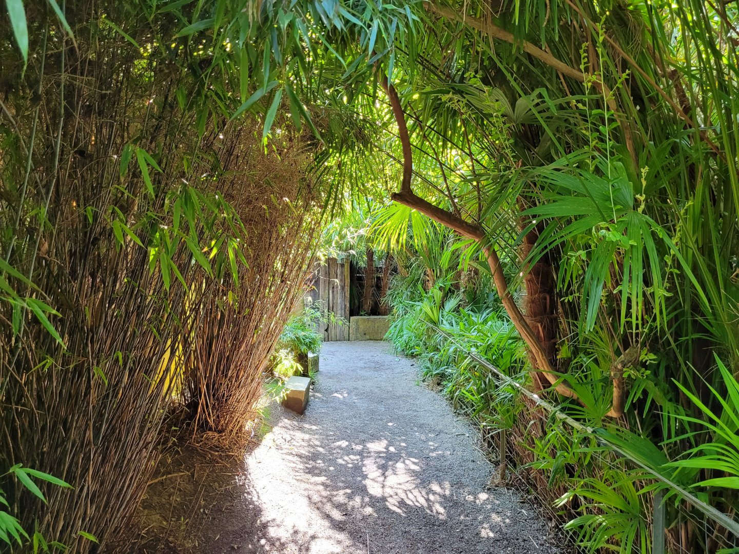 Lemur exhibit row -Zoo d'Asson (2022)