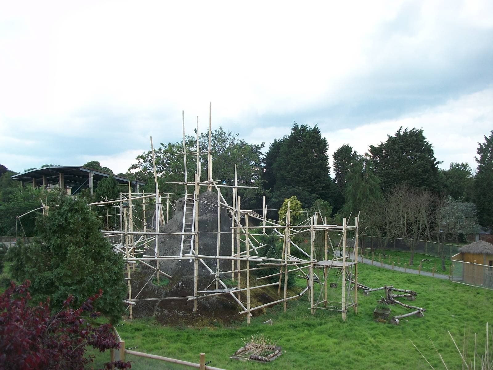 Lemur exhibit viewed from the monorail, 7th July 2014