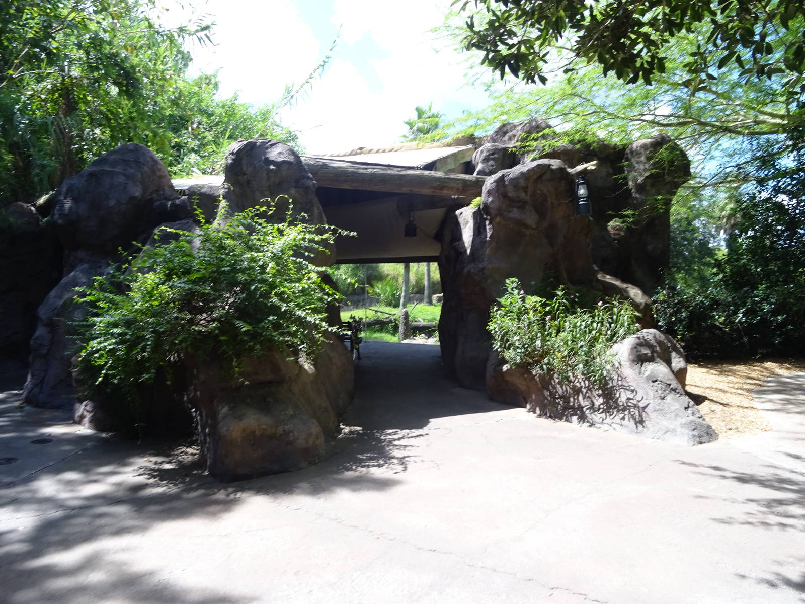 Lemur Exhibit Viewing Area at Busch Gardens Tampa