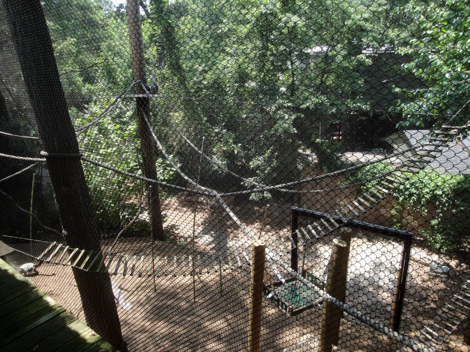 Lemur Exhibit
