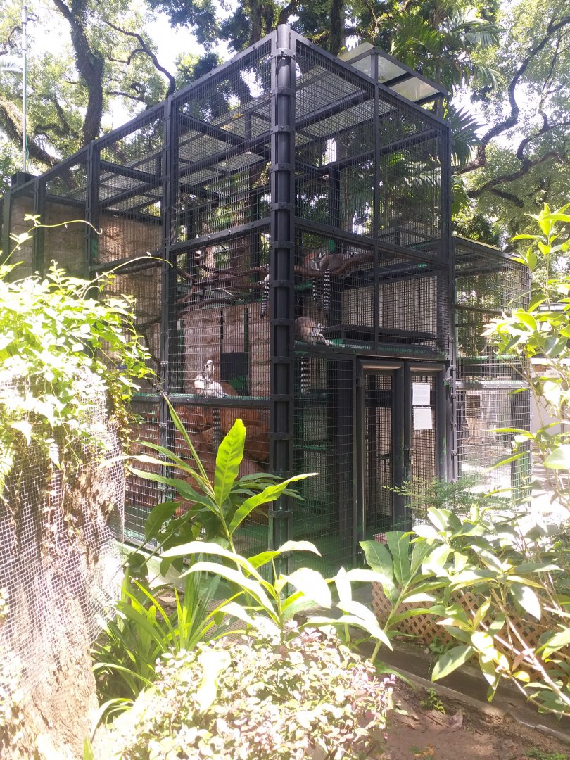 Lemur exhibit