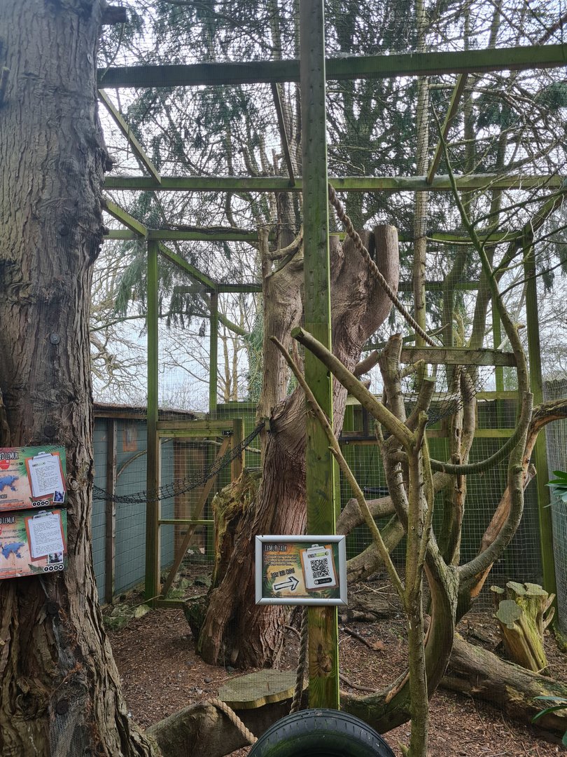 Lemur Exhibit