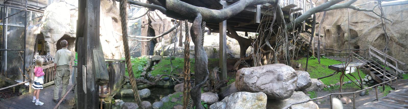 Lemur exhibit