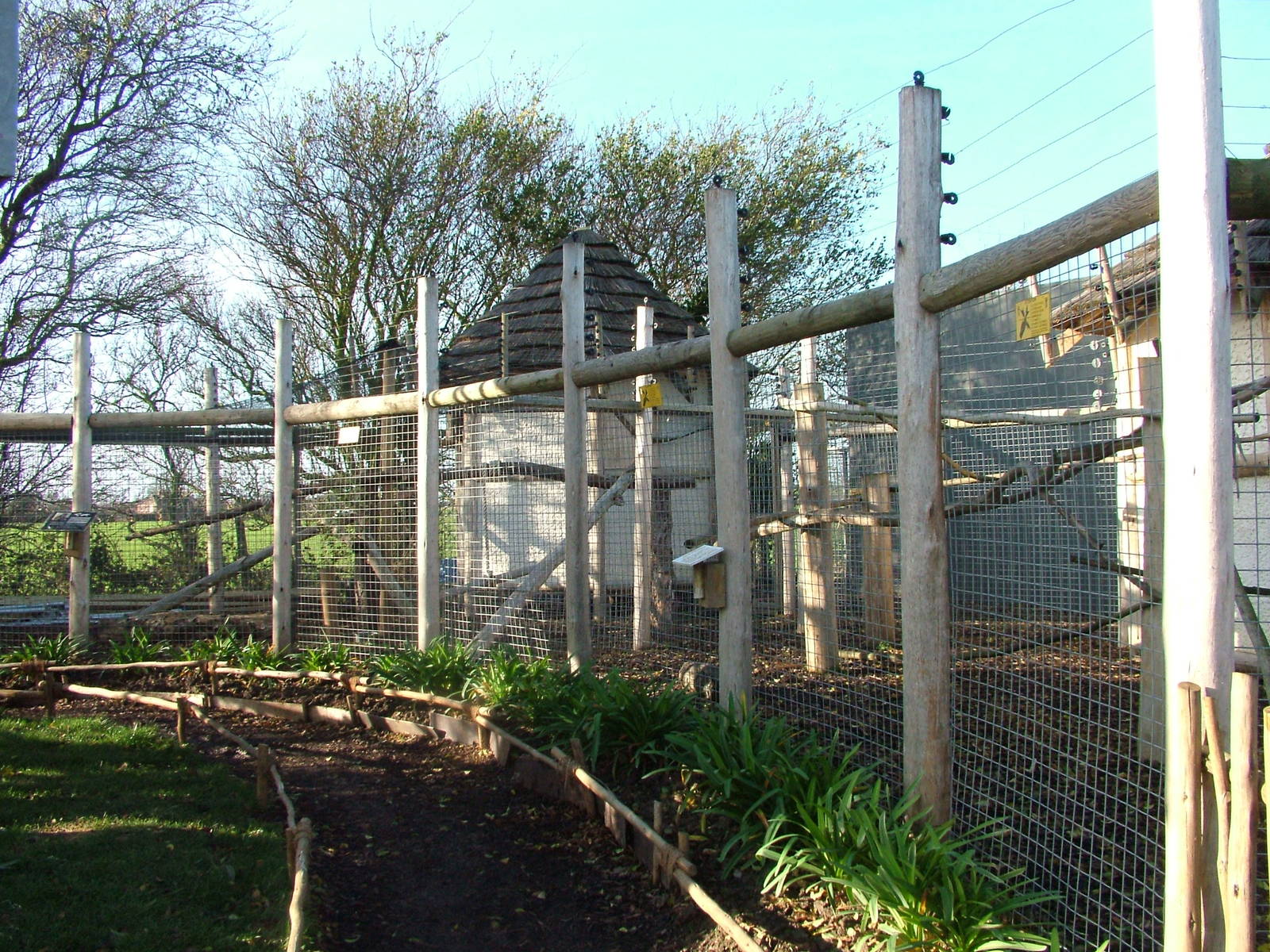 Lemur exhibits at the RSCC 28/11/09