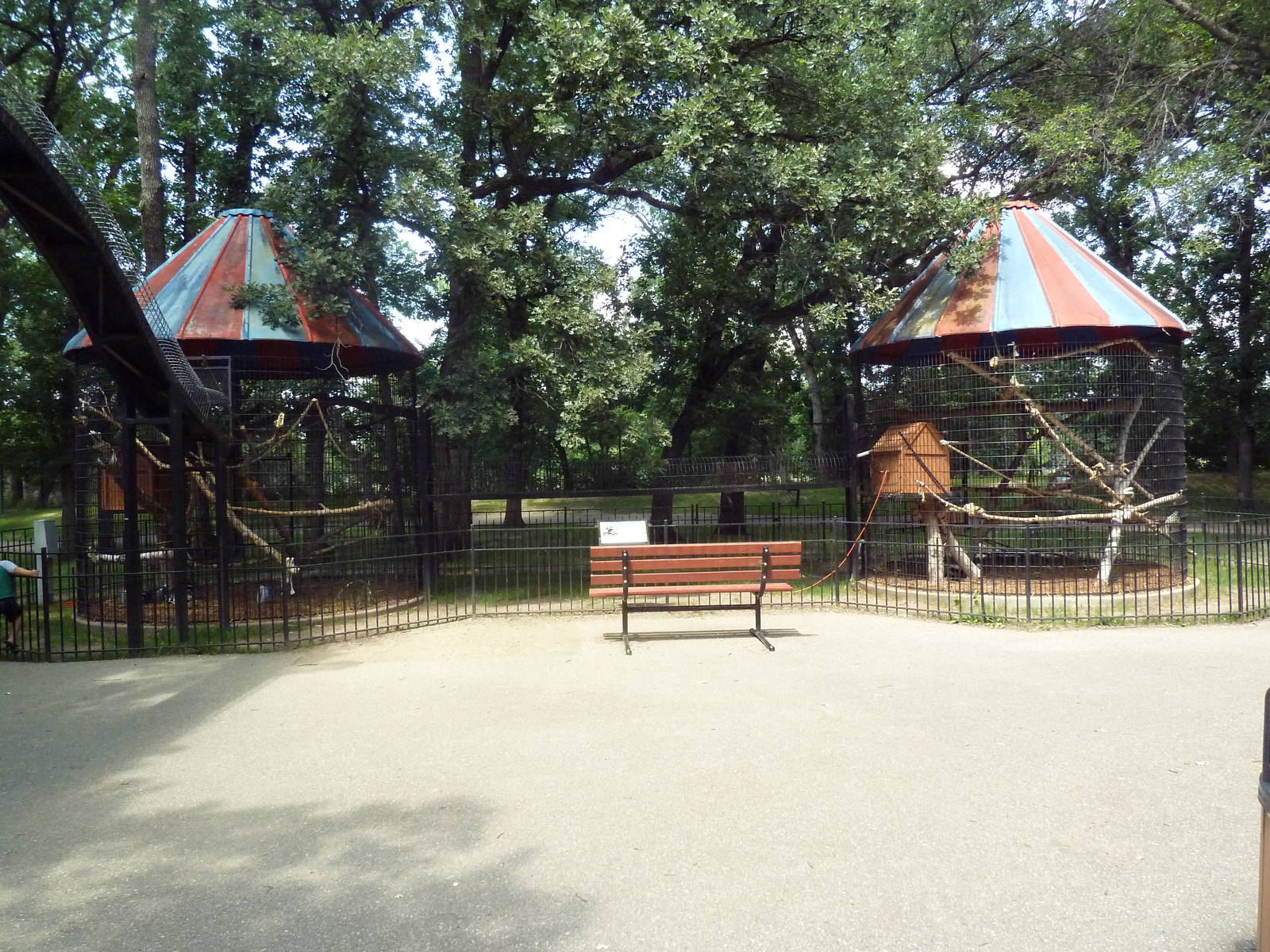 Lemur Exhibits (Ring-Tailed + Black-and-White Ruffed)