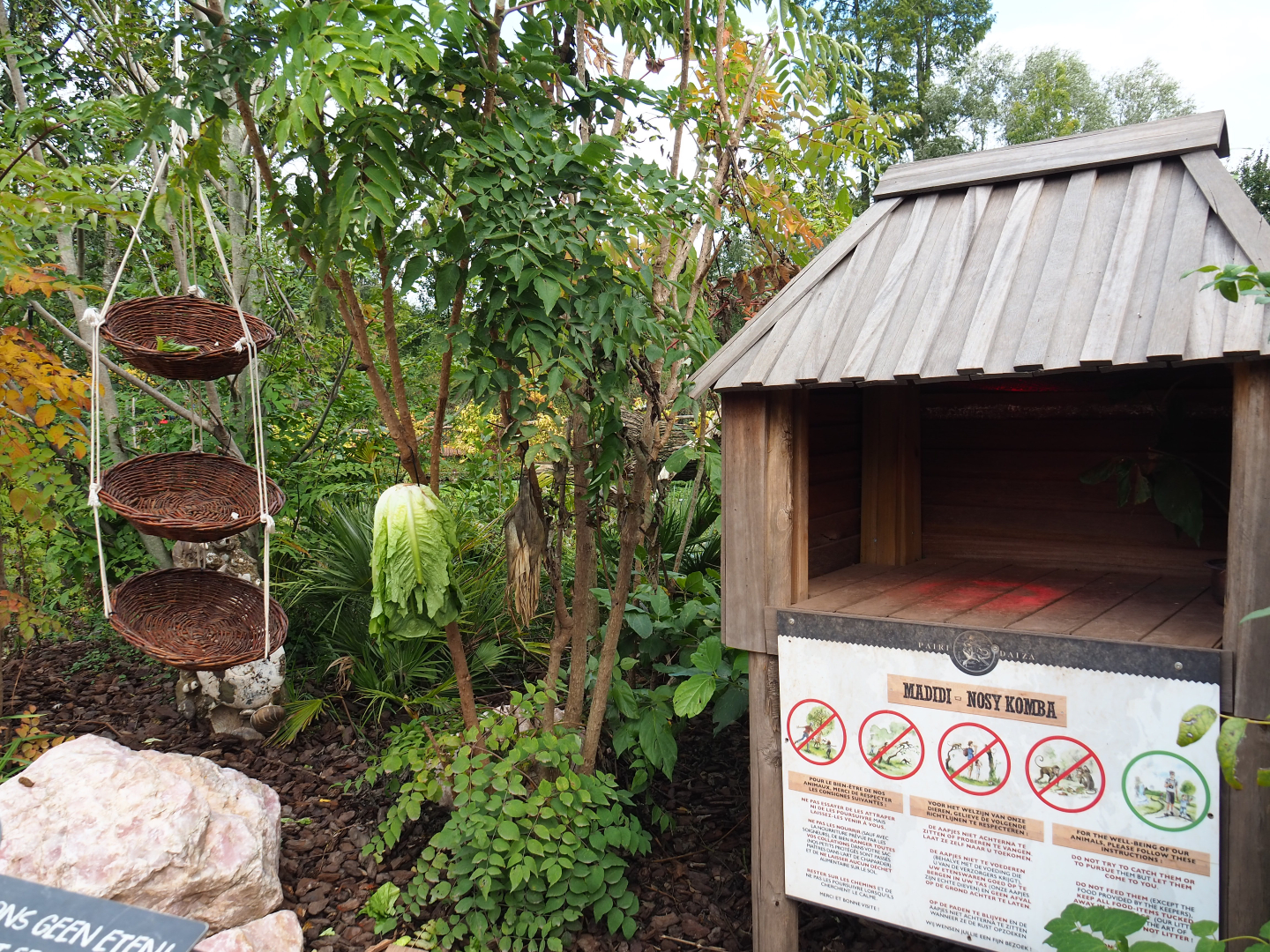 Lemur feeding area, 2019-10-04