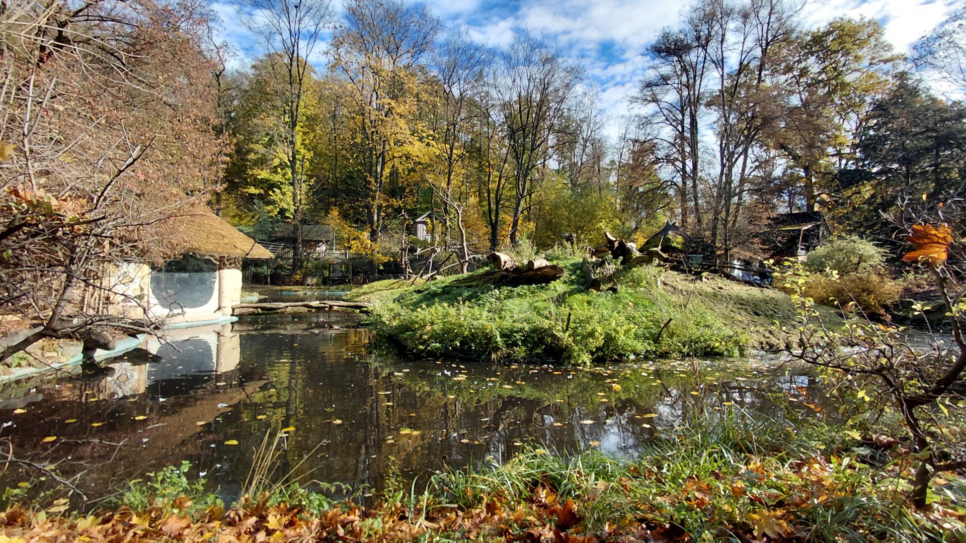 Lemur + flamingo outdoor exhibit