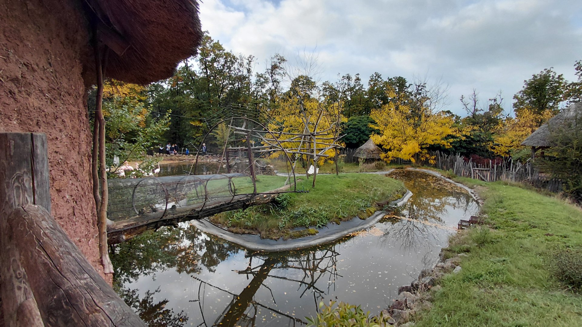 Lemur + flamingo outdoor exhibits
