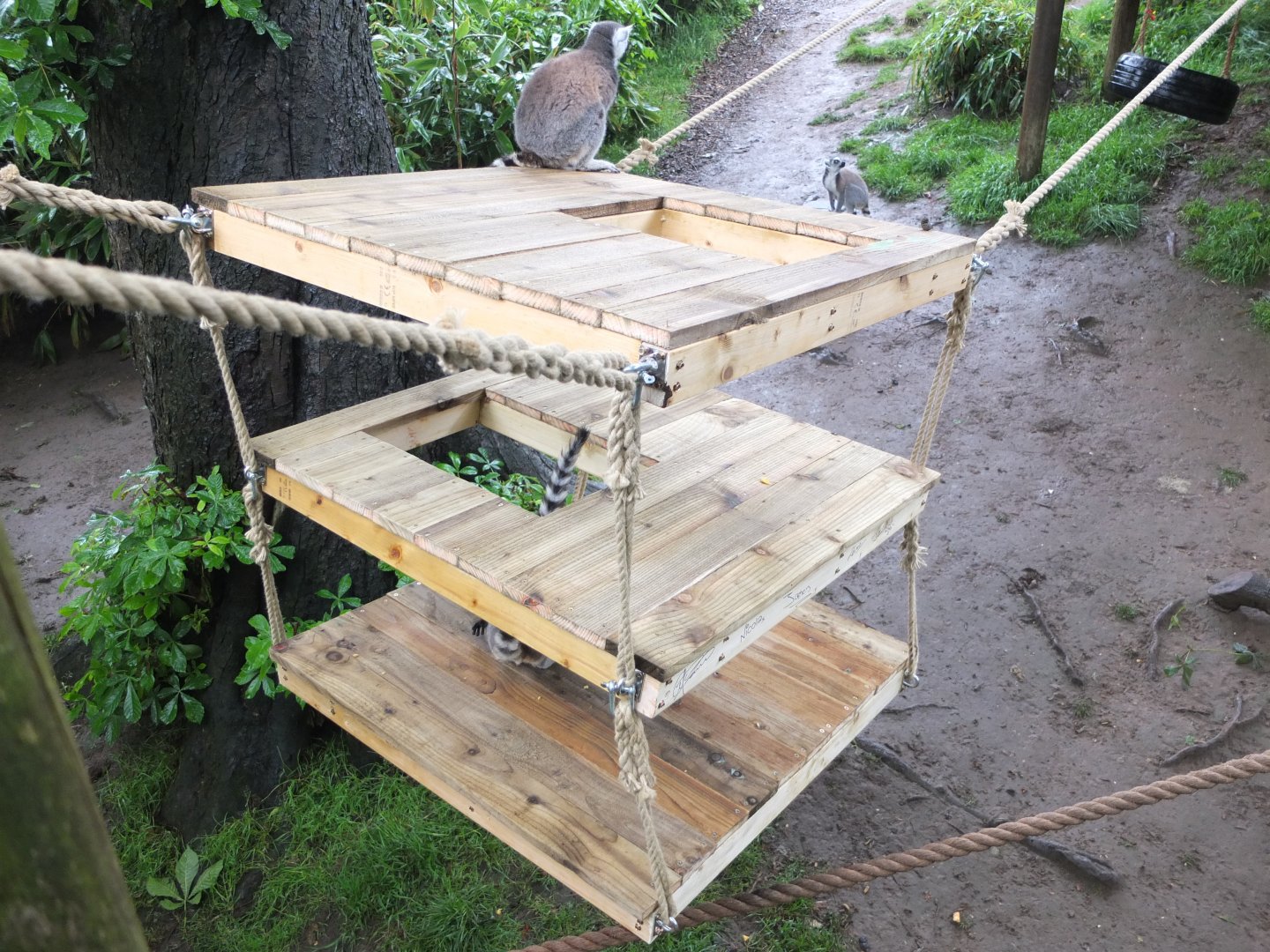 Lemur floating platforms