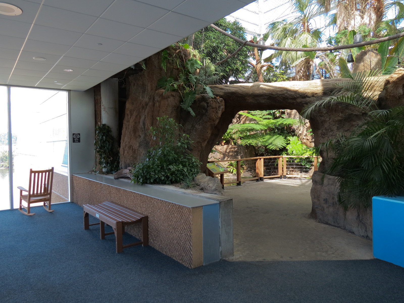 Lemur Forest - Entrance