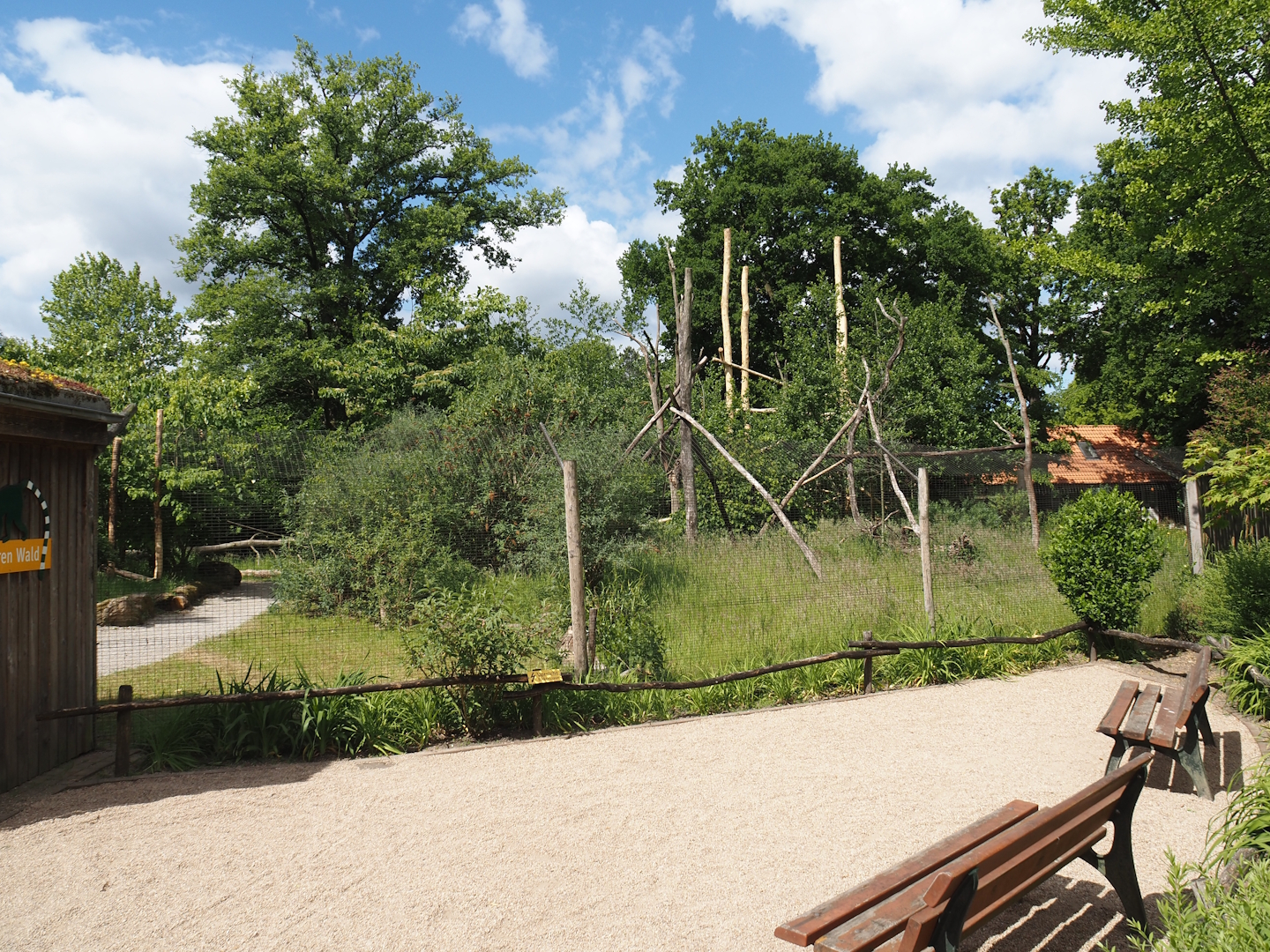 Lemur Forest exhibit, 2025-05-22