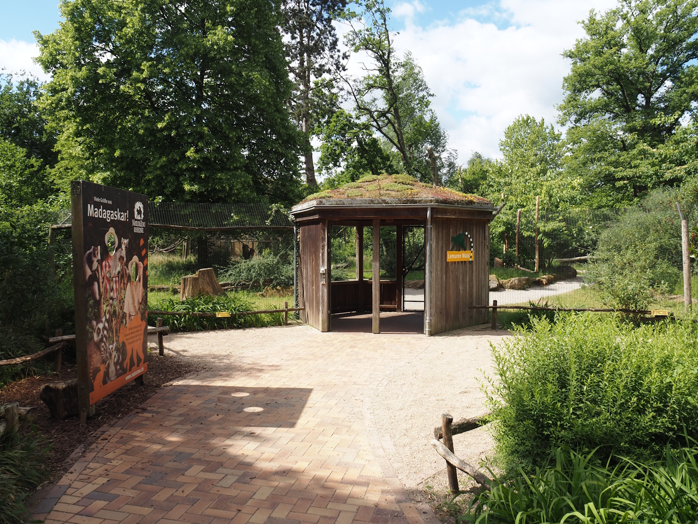 Lemur Forest exhibit - Entrance to the walk-through area, 2025-05-22