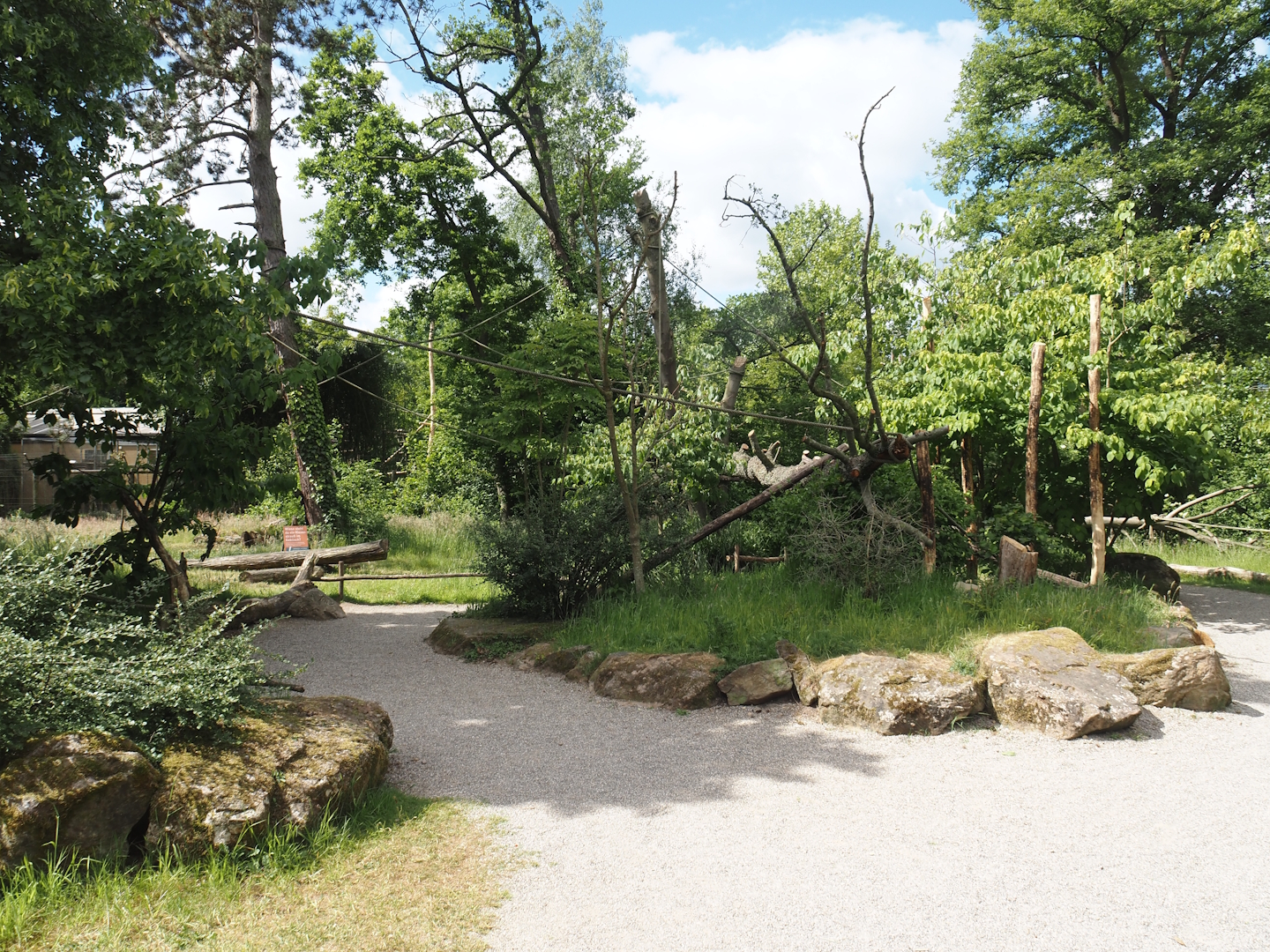 Lemur Forest exhibit - Walk-through area, 2025-05-22
