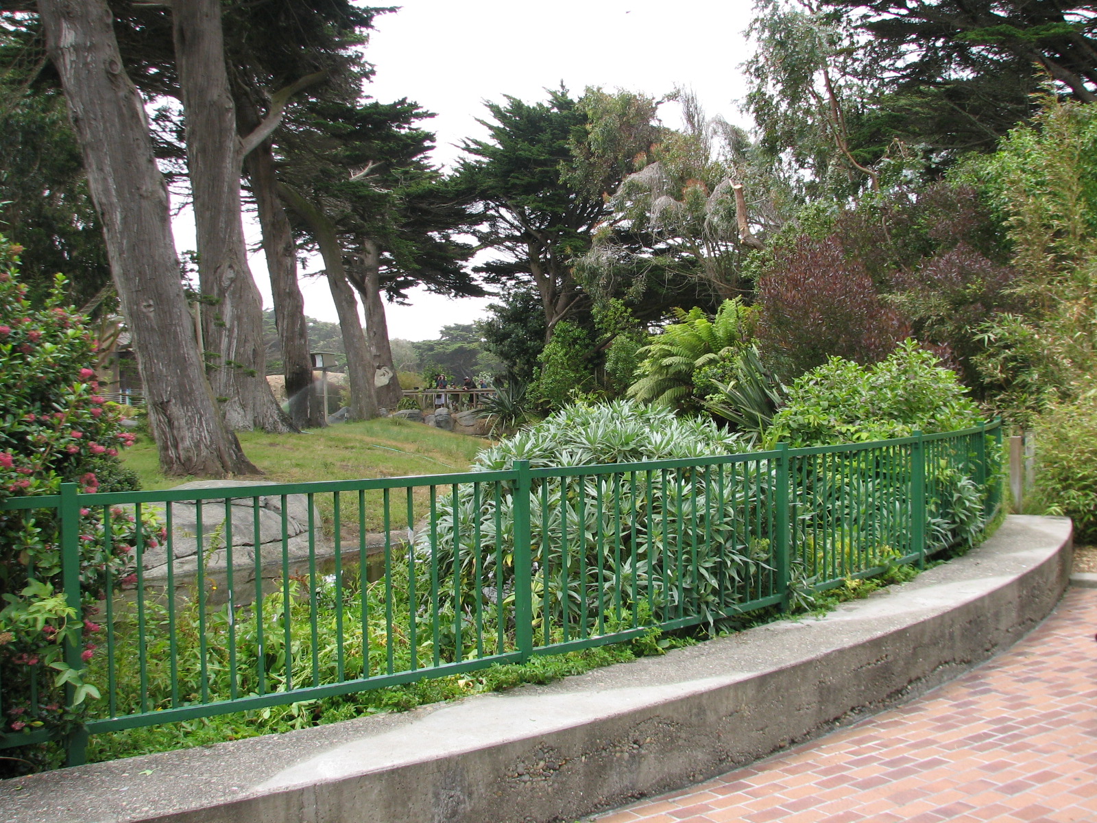 Lemur Forest - Main Habitat Viewing Area