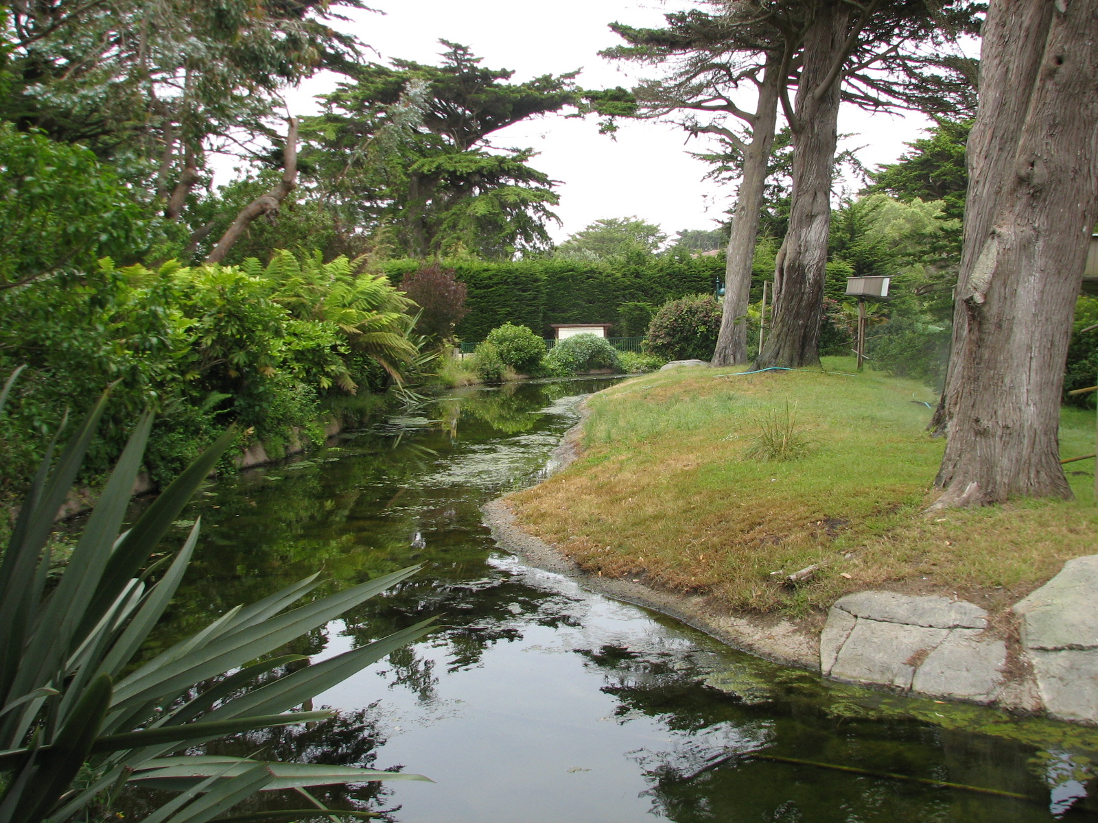 Lemur Forest - Main Habitat