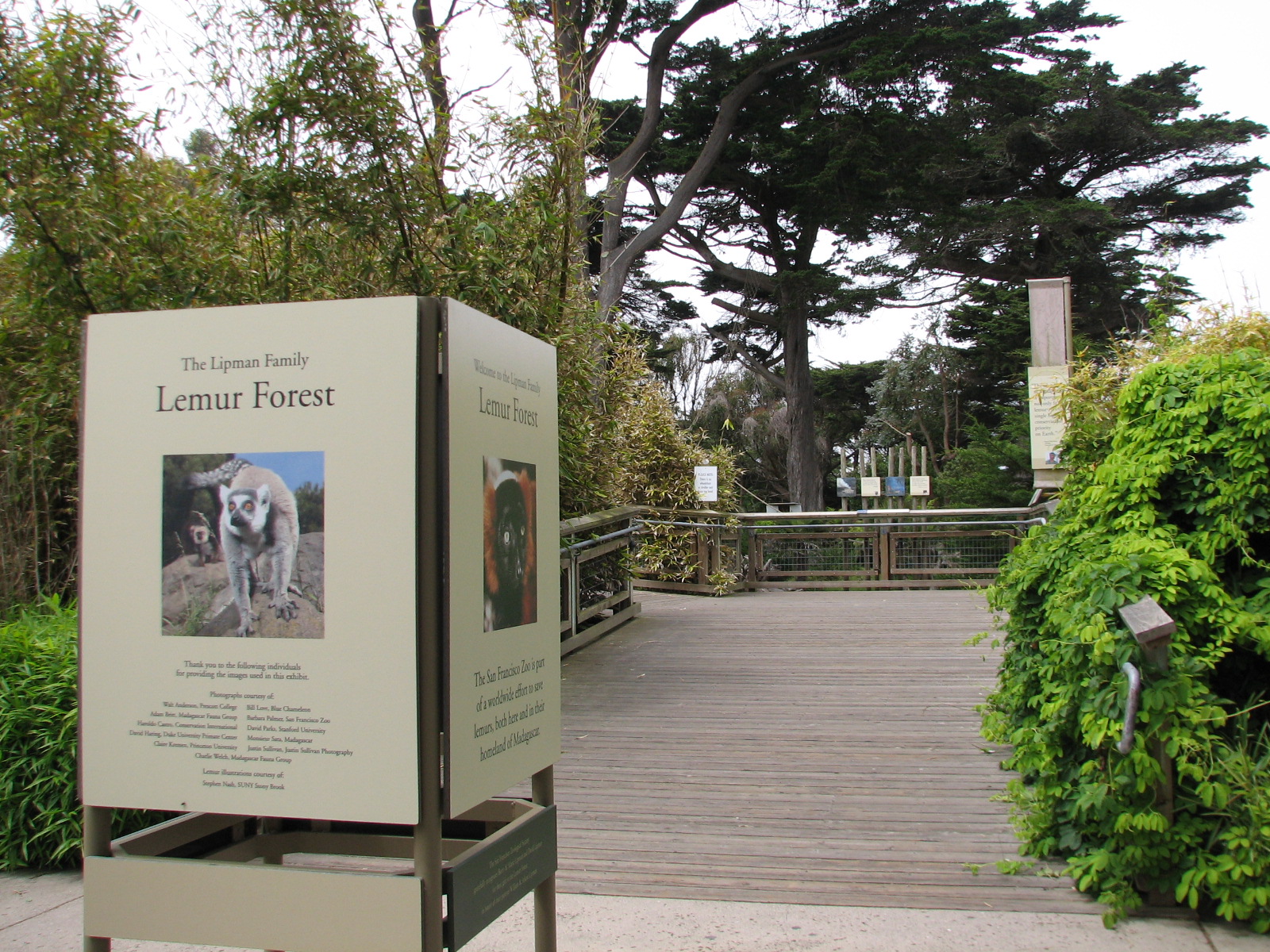 Lemur Forest - Sign