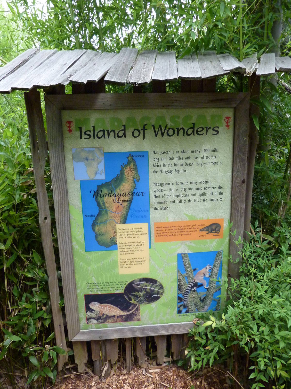 Lemur Forest Signage